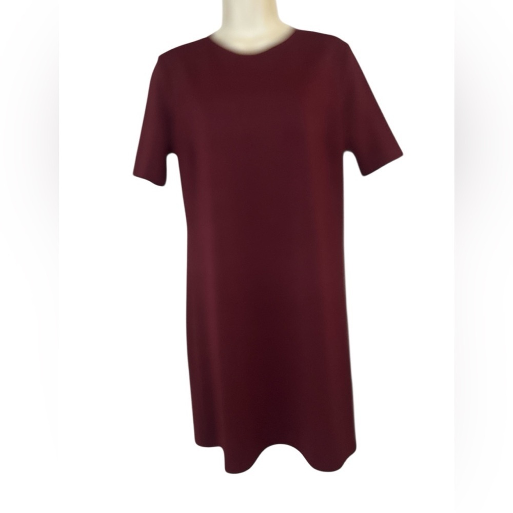 love...ady Burgundy Elegant Dress